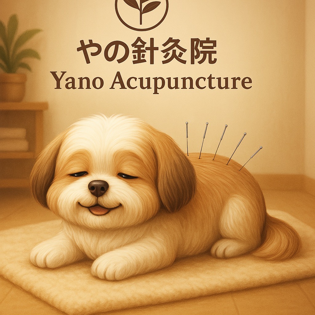 やの針灸院　Yano hari-kyu-in (奈良かしはら)